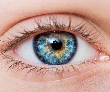 5 zaujímavostí o očiach a význam omega-3 pre ich zdravie